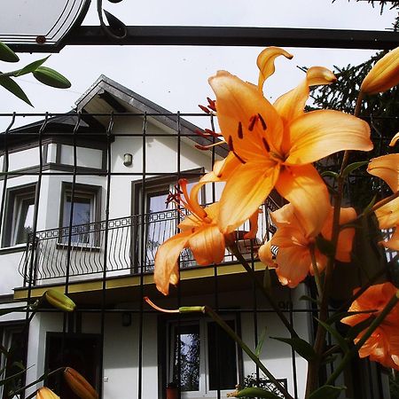 Villa Hasaba Kroscienko nad Dunajcem Bagian luar foto