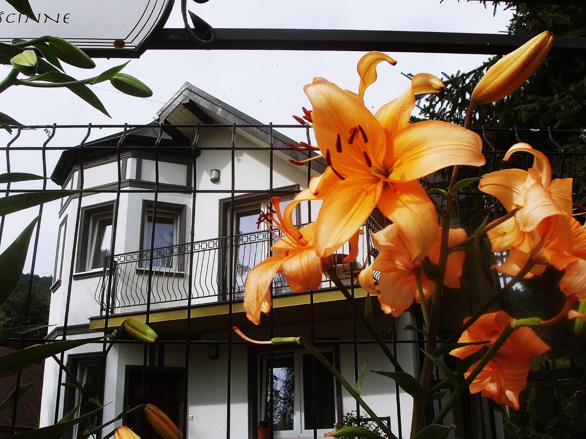 Villa Hasaba Kroscienko nad Dunajcem Bagian luar foto