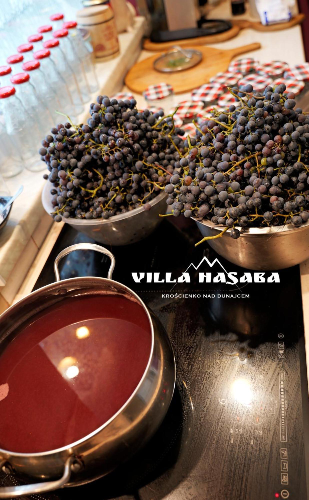 Villa Hasaba Kroscienko nad Dunajcem Bagian luar foto